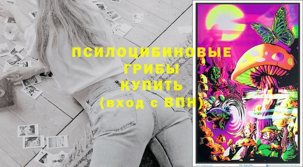 спайс Ладушкин