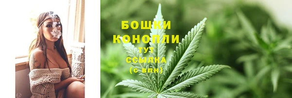 шишки Лагань