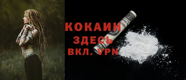 спайс Ладушкин