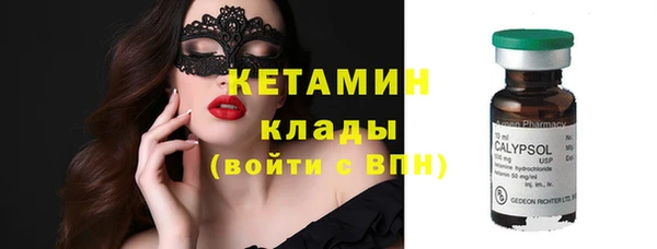 шишки Лагань