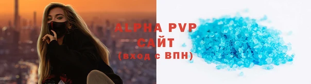 спайс Ладушкин