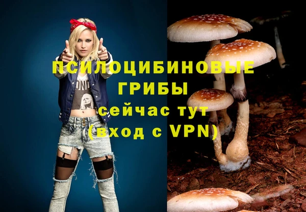 спайс Ладушкин