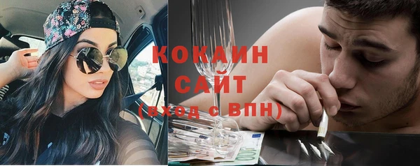 шишки Лагань