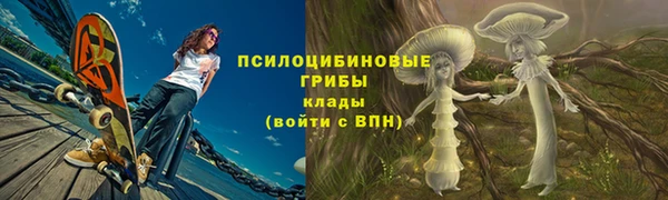 шишки Лагань
